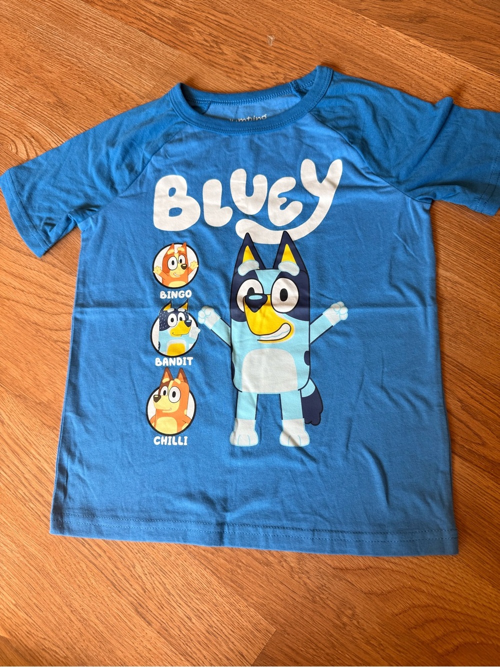 Bluey Graphic Tee NWOT